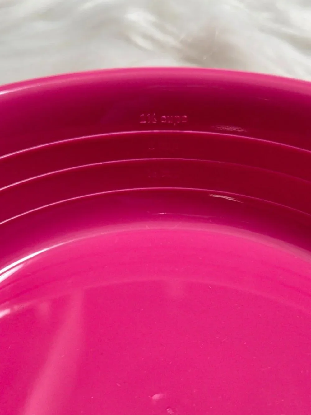 Sun Squad Set of 2 Dog Bowls